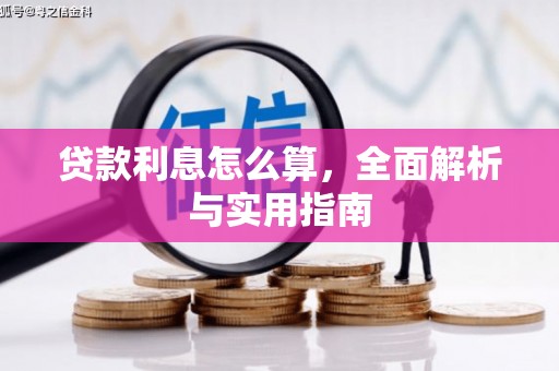 泽普贷款利息怎么算，全面解析与实用指南