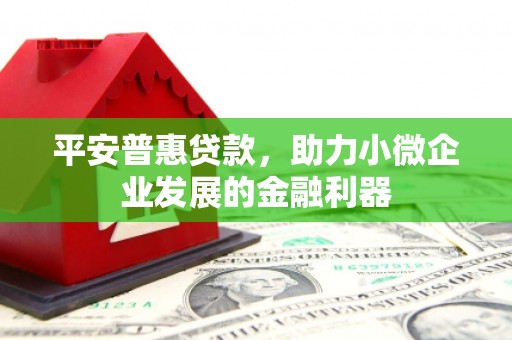 泽普平安普惠贷款，助力小微企业发展的金融利器