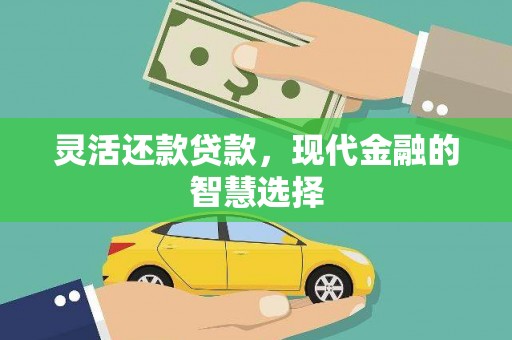 泽普灵活还款贷款，现代金融的智慧选择