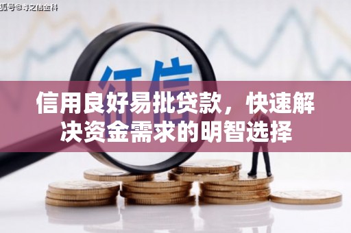 泽普信用良好易批贷款，快速解决资金需求的明智选择