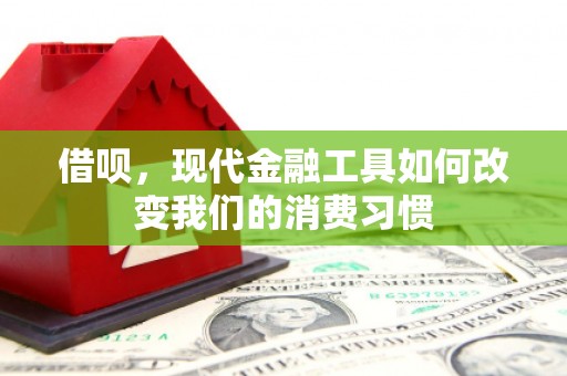 泽普借呗，现代金融工具如何改变我们的消费习惯
