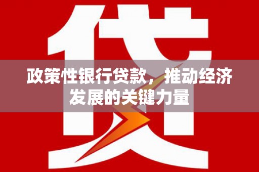 泽普政策性银行贷款，推动经济发展的关键力量