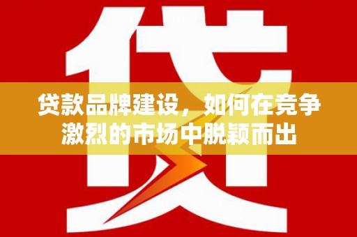 泽普贷款品牌建设，如何在竞争激烈的市场中脱颖而出