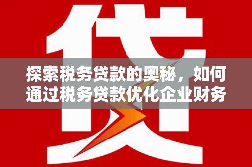 泽普探索税务贷款的奥秘，如何通过税务贷款优化企业财务