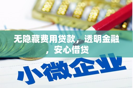 泽普无隐藏费用贷款，透明金融，安心借贷