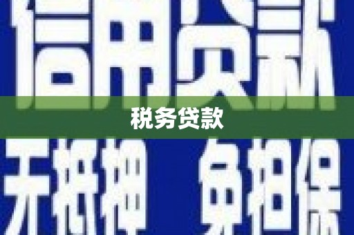 泽普税务贷款