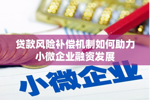 泽普贷款风险补偿机制如何助力小微企业融资发展