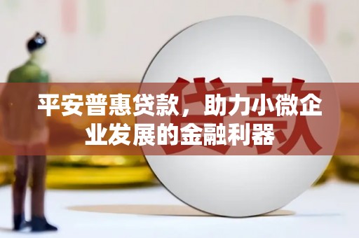 泽普平安普惠贷款，助力小微企业发展的金融利器