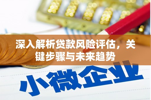 泽普深入解析贷款风险评估，关键步骤与未来趋势