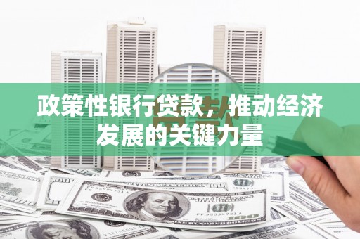 泽普政策性银行贷款，推动经济发展的关键力量