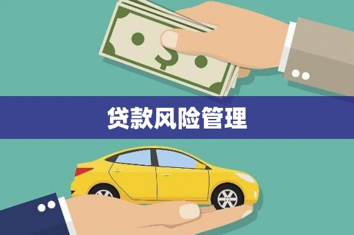 泽普贷款风险管理