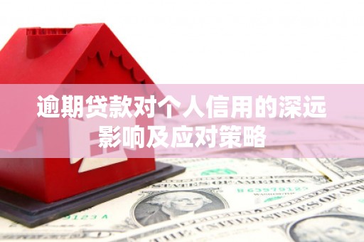 泽普逾期贷款对个人信用的深远影响及应对策略