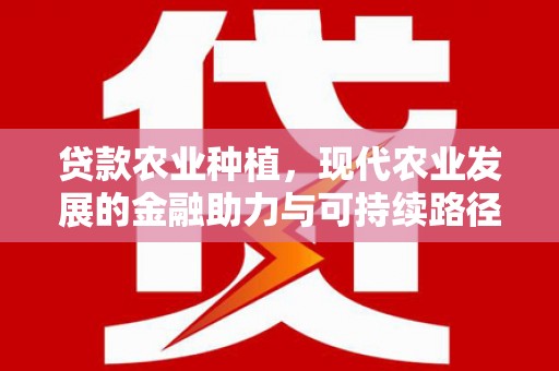 泽普贷款农业种植，现代农业发展的金融助力与可持续路径