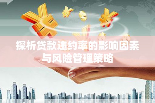 泽普探析贷款违约率的影响因素与风险管理策略