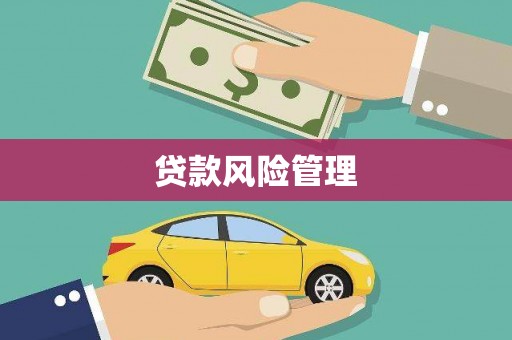 泽普贷款风险管理