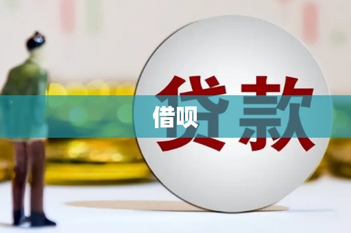 泽普借呗