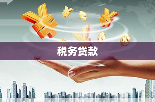 泽普税务贷款