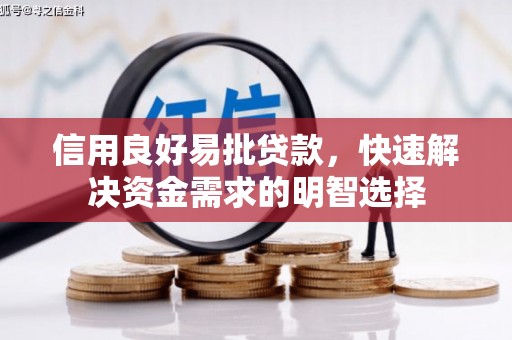 泽普信用良好易批贷款，快速解决资金需求的明智选择