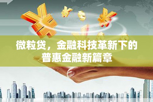 泽普微粒贷，金融科技革新下的普惠金融新篇章