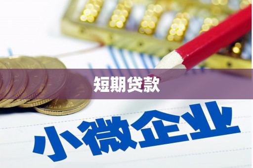 泽普短期贷款