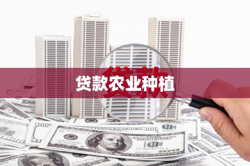 泽普贷款农业种植