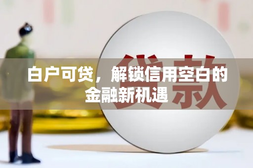 泽普白户可贷，解锁信用空白的金融新机遇