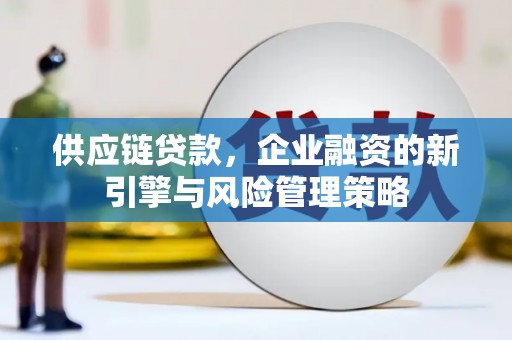 泽普供应链贷款，企业融资的新引擎与风险管理策略