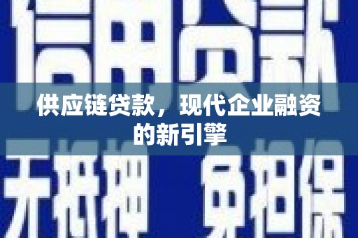 泽普供应链贷款，现代企业融资的新引擎