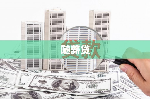 泽普随薪贷