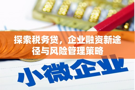 泽普探索税务贷，企业融资新途径与风险管理策略