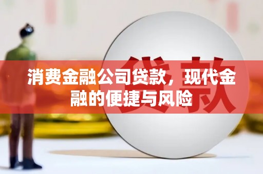 泽普消费金融公司贷款，现代金融的便捷与风险