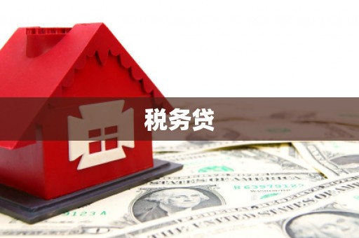泽普税务贷