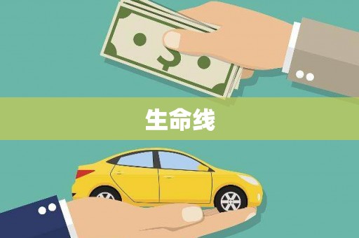 泽普生命线