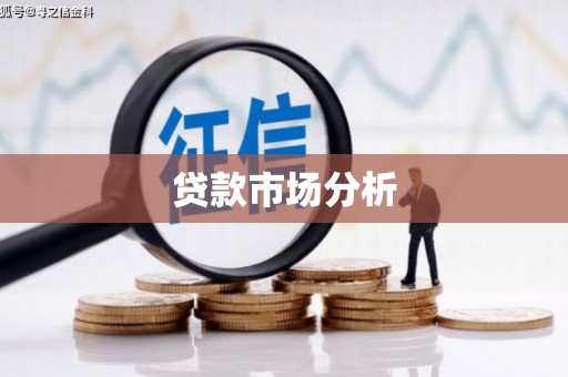 泽普贷款市场分析