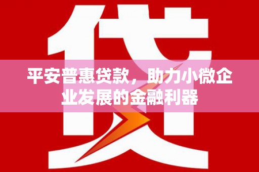 泽普平安普惠贷款，助力小微企业发展的金融利器