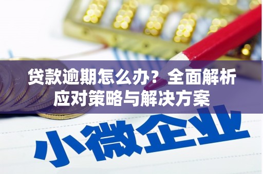 泽普贷款逾期怎么办？全面解析应对策略与解决方案