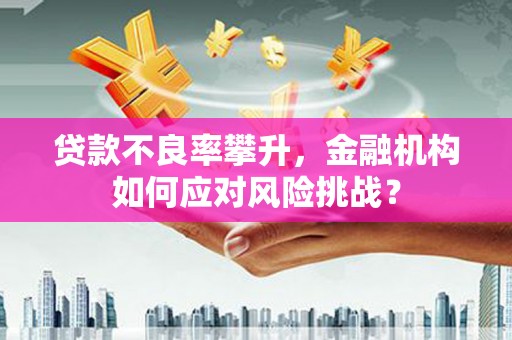 泽普贷款不良率攀升，金融机构如何应对风险挑战？