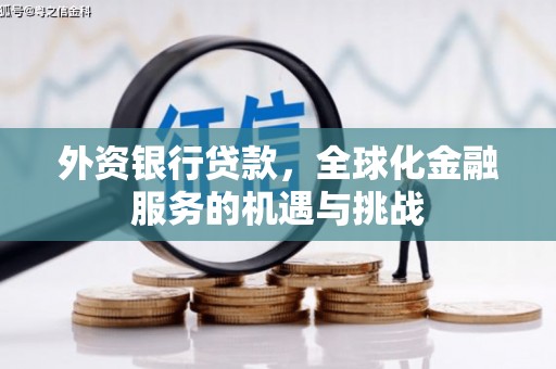 泽普外资银行贷款，全球化金融服务的机遇与挑战
