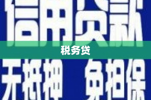 泽普税务贷