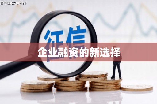 泽普企业融资的新选择