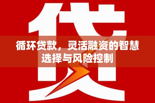 泽普循环贷款，灵活融资的智慧选择与风险控制
