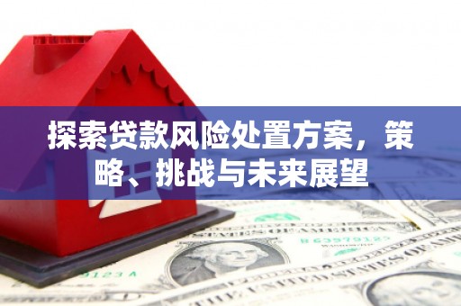 泽普探索贷款风险处置方案，策略、挑战与未来展望