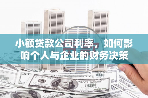 泽普小额贷款公司利率，如何影响个人与企业的财务决策