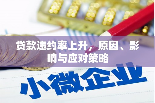 泽普贷款违约率上升，原因、影响与应对策略