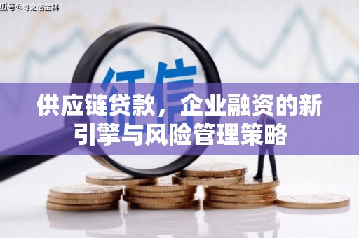 泽普供应链贷款，企业融资的新引擎与风险管理策略