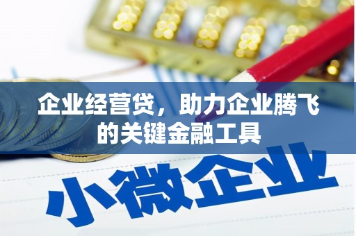 泽普企业经营贷，助力企业腾飞的关键金融工具