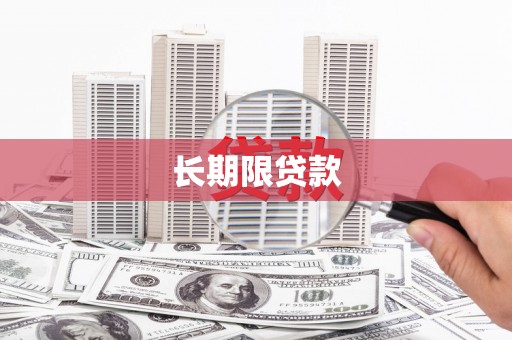 泽普长期限贷款