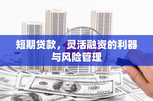 泽普短期贷款，灵活融资的利器与风险管理