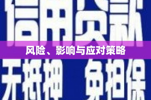 泽普风险、影响与应对策略