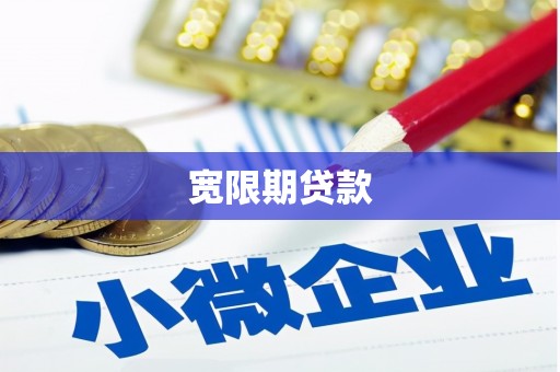 泽普宽限期贷款